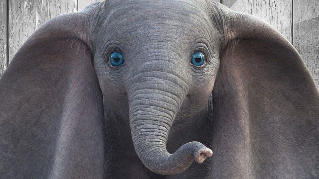 bild aus der news "Dumbo": FSK gibt Altersfreigabe für Disney-Realverfilmung bekannt
