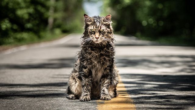 bild aus der news "Friedhof der Kuscheltiere": Ein Stinkefinger für Hollywood als Karriere-Sprungbrett