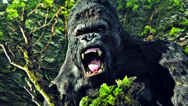 Monsterverse: Wie geht es mit King Kong, Godzilla und Co. weiter?