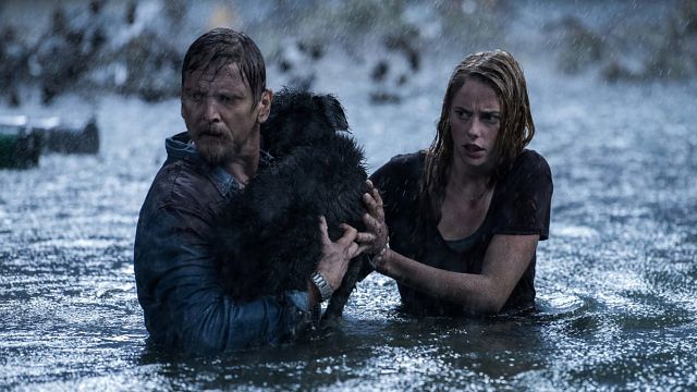 bild aus der news "Crawl": Deutscher Trailer zum neuen Horrorfilm von "High Tension"-Terrormeister Alexandre Aja