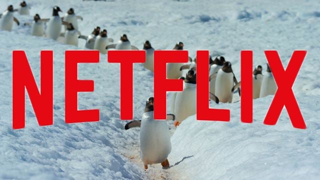 Netflix veröffentlicht erstmals Top-10-Listen: Diese Inhalte werden am meisten gestreamt