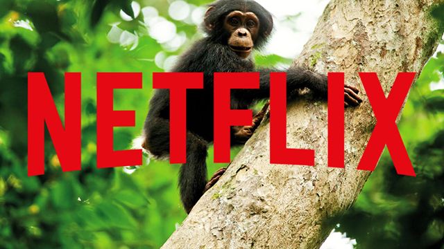 Auch wegen "Leaving Neverland"? Netflix und "Thor 3"-Regisseur steigen aus Film über Michael Jacksons Affen aus