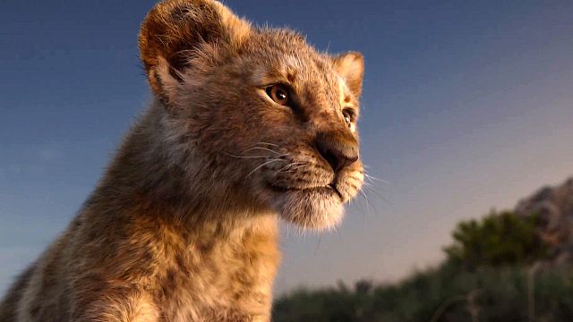 bild aus der news "Der König der Löwen" auf dem Weg zum Mega-Hit: Erster Rekord zum Start des Vorverkaufs