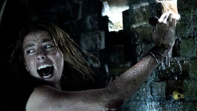 bild aus der news "Crawl" von Terrormeister Alexandre Aja: Das ist die Altersfreigabe der FSK