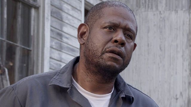 bild aus der news Mafia, Drogen, Malcolm X: Forest Whitaker regiert im Trailer zu "The Godfather Of Harlem" 