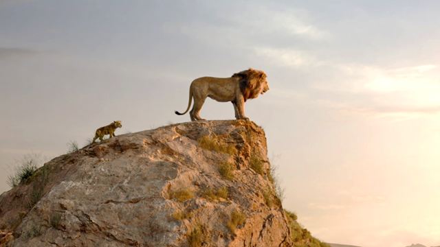 "Der König der Löwen": Darum ist Mufasa ein Arsch und der "Circle Of Life" eine Lüge