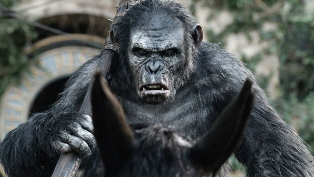 bild aus der news Unter Disney: Nächster "Planet der Affen"-Film soll ein (weiterer) Reboot werden!