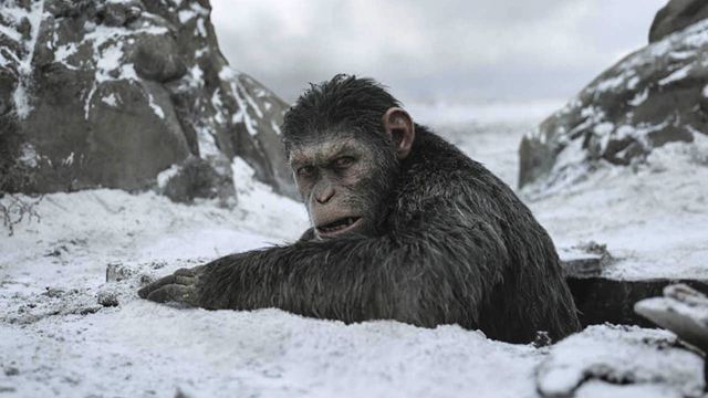 Doch kein Reboot: Disney macht "Planet der Affen 4"