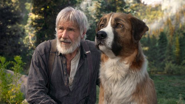 Der CGI-Hund in "Ruf der Wildnis": Darum wurde nicht mit echten Tieren gedreht