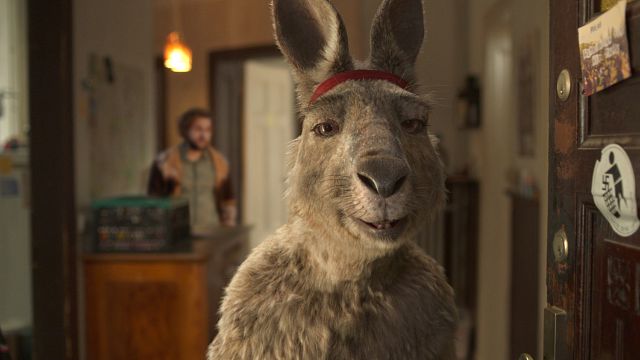 bild aus der news Gerade noch auf Platz 1 der Kinocharts, jetzt schon als Stream: "Die Känguru-Chroniken" bei Amazon und Co.