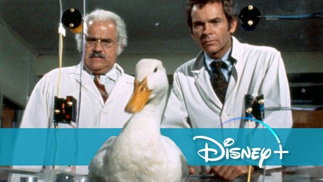 7 total absurde Filme auf Disney+, von denen ihr bestimmt noch nie etwas gehört habt!