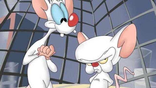 Beim "Disney+ für Erwachsene": Comeback der Cartoon-Kult-Figuren Pinky und Brain