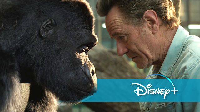 bild aus der news Disney+ statt Kino: Deutscher Trailer zum tierischen Abenteuer "Der einzig wahre Ivan" mit Mega-Cast