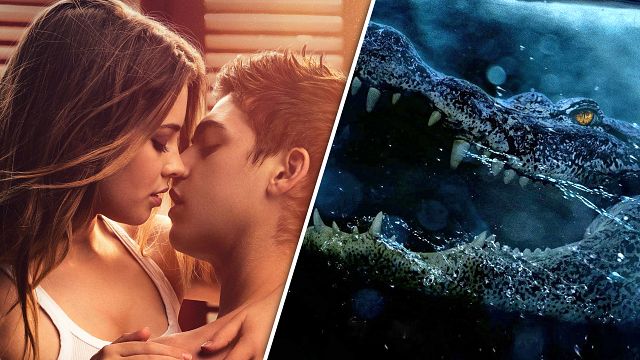 bild aus der news Neue Amazon-Aktion: Jede Menge Schnäppchen auf Blu-ray – von "After Passion" bis "Crawl"