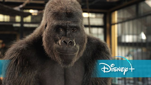 bild aus der news Löst "Der einzig wahre Ivan" das "König der Löwen"-Problem? Unser Interview zum neuen Film auf Disney+