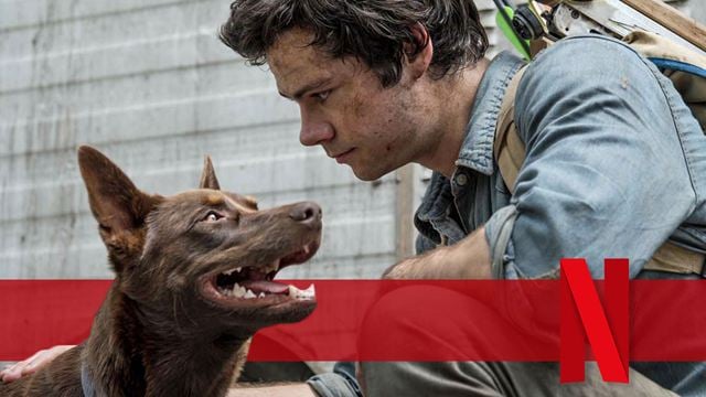 Stirbt der Hund in "Love And Monsters"? Alle Infos zum tierischen Netflix-Star