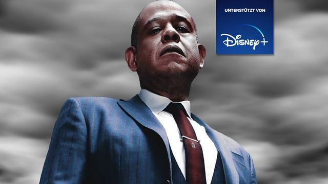 Eine der besten US-Serien jetzt auf Disney+: Ein Gangster-Drama nach einer epischen wahren Geschichte! [Anzeige]