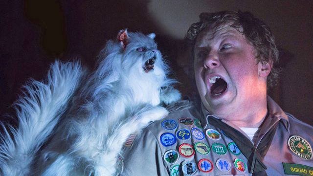 TV-Tipp für heute: In dieser Horror-Komödie gibt es Zombie-Katzen statt Zombie-Tiger – mächtig Spaß macht sie trotzdem!