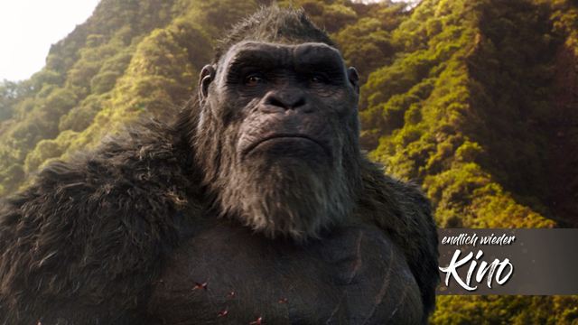 Wie geht es nach "Godzilla vs. Kong" weiter? Viele Ideen, aber auch viele Probleme für noch mehr MonsterVerse-Action