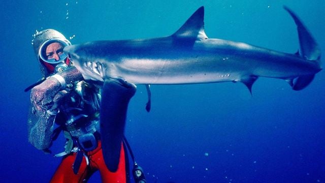 Von wegen blutrünstige Killer: Deutscher Trailer zu "Die Freundin der Haie" - ein Muss für Fans von "Der weiße Hai"