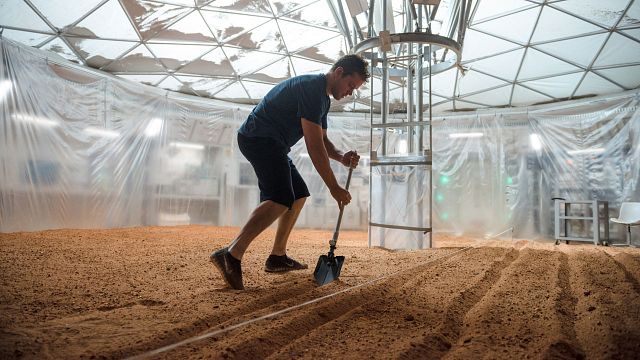 bild aus der news "Der Marsianer" wissenschaftlich geprüft: Kann man Kartoffeln auf dem Mars pflanzen wie Matt Damon?