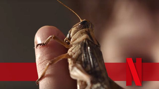 bild aus der news "Schwarm der Schrecken": Mit so unfassbar vielen echten Heuschrecken wurde der Netflix-Horrorfilm gedreht