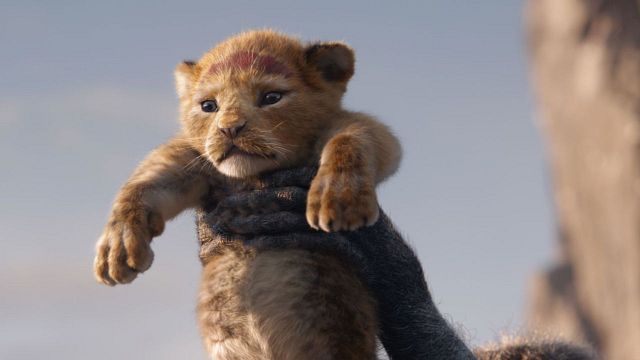 bild aus der news Kannibalismus in "Der König der Löwen"? Nach dieser Theorie seht ihr den Film (und eure Kindheit) mit ganz anderen Augen! 