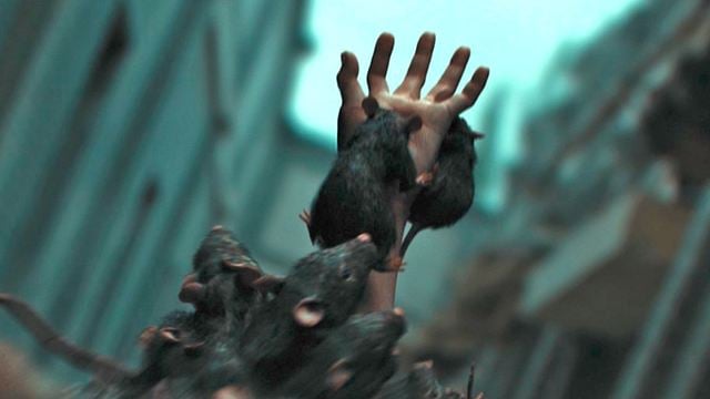 Neu im Heimkino: Hier trifft Zombie-Apokalypse auf Tierhorror-Spektakel