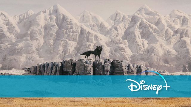 bild aus der news Neu auf Disney+: Einer der besten Animationsfilme überhaupt – vor allem für Erwachsene