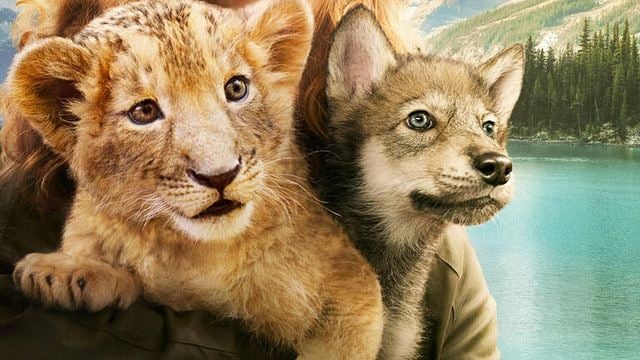 Anders als "König der Löwen" & Co.: Im Trailer zu "Der Wolf und der Löwe" erwartet euch ein Abenteuer mit echten (!) Tieren