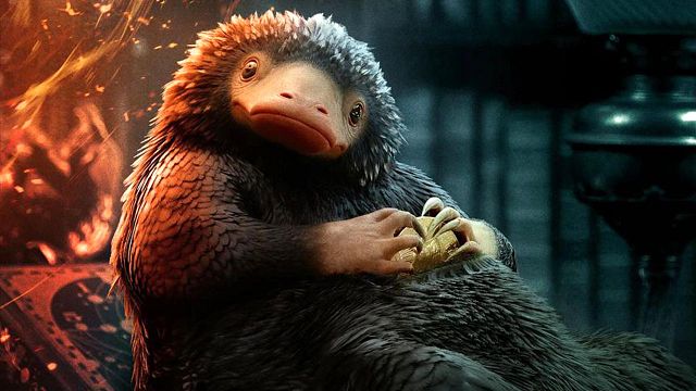 bild aus der news Von wegen 5 Filme: So völlig anders war die ursprüngliche Idee zu "Phantastische Tierwesen"