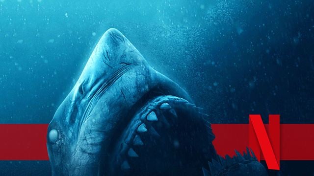 Nur noch kurze Zeit bei Netflix: Fieser Hai-Horror und ein durchgeknalltes DC-Action-Spektakel
