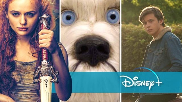 Neu auf Disney+: Eine Action-Prinzessin, die ihren inneren John Wick befreit, und weitere Film-Highlights