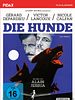 Poster der Die Hunde