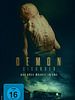 Poster der Demon Disorder - Das Böse wächst in uns
