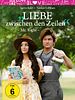 Poster der Liebe zwischen den Zeilen - Mr. Right