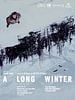 Poster der Ein langer Winter