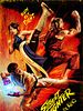 Poster der Street Fighter