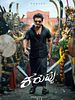 Poster der Karuppu