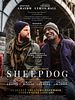 Poster der Sheepdog