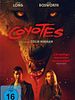 Poster der Coyotes