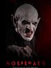 Poster der Nosferatu: A Symphony of Horror
