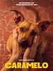 Poster der Caramelo