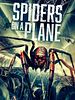 Poster der Spiders On A Plane