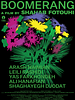 Poster der Boomerang