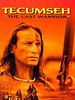 Poster der Tecumseh - Im Zeichen des Pantherauges