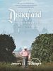 Poster der Disneyland Handcrafted