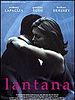 Poster der Lantana