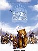 Poster der Bärenbrüder