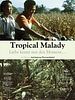 Poster der Tropical Malady
